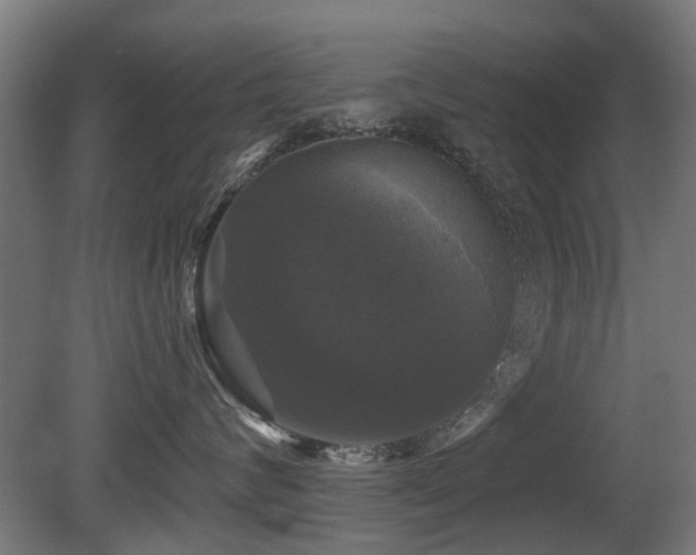 X0000081360624200701111523
