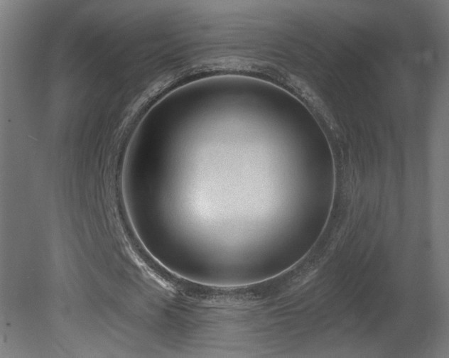 X0000081360625200701111522