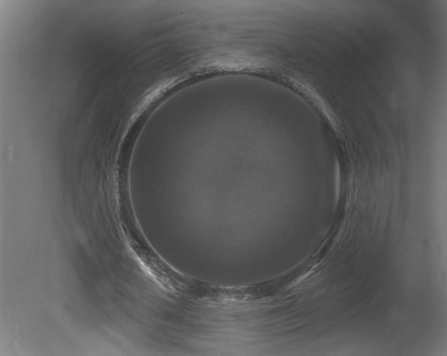 X0000081360626200701111522