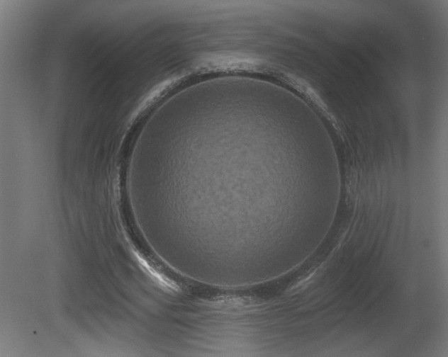 X0000081360629200701111522