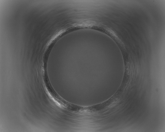 X0000081360634200701111522