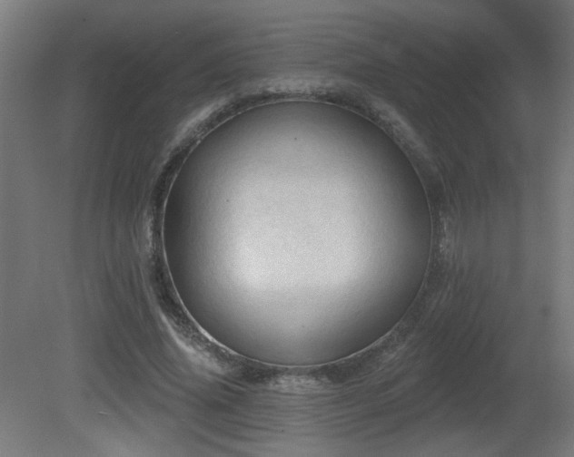 X0000081360636200701111522
