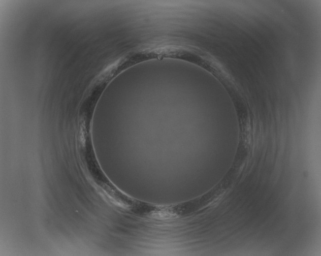 X0000081360644200701111522