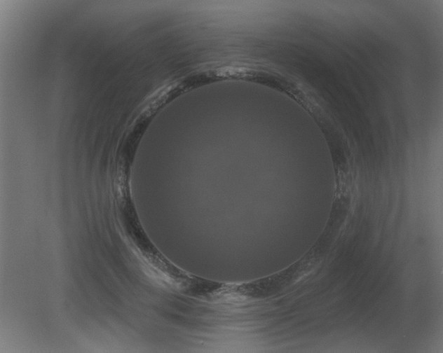 X0000081360648200701111522