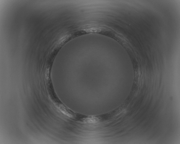 X0000081360652200701111523