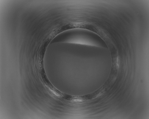 X0000081360653200701111523