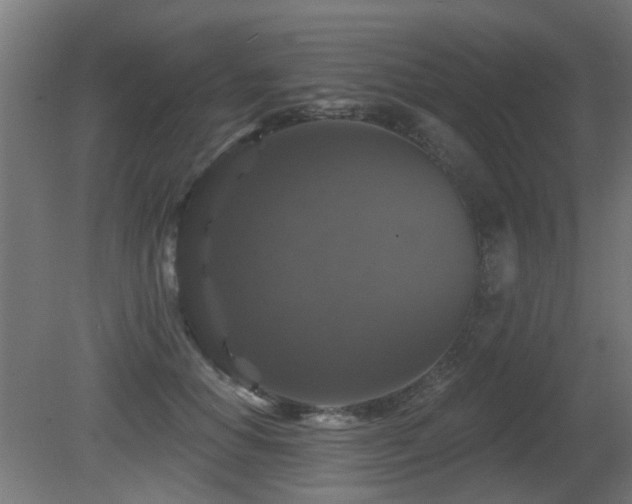 X0000081360654200701111523