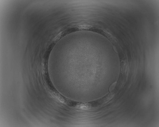 X0000081360655200701111523