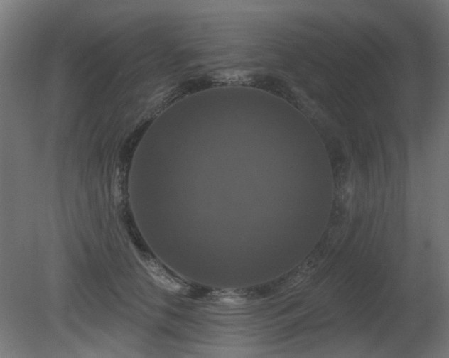 X0000081360658200701111523