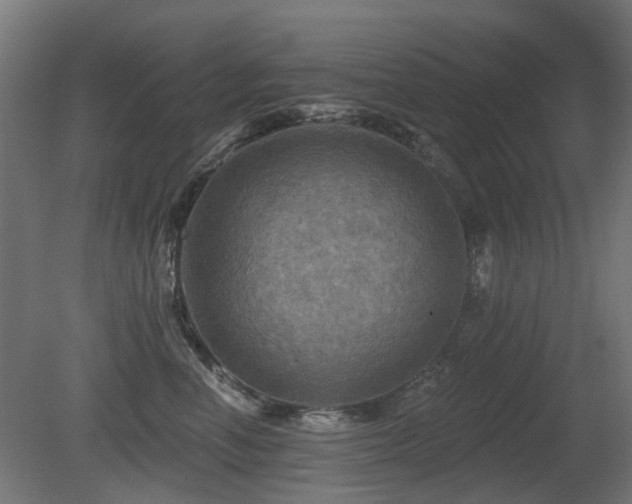 X0000081360666200701111523