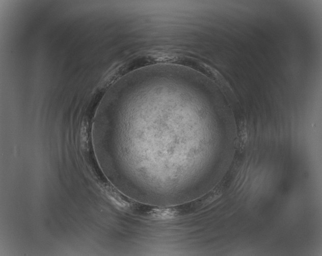 X0000081360667200701111523