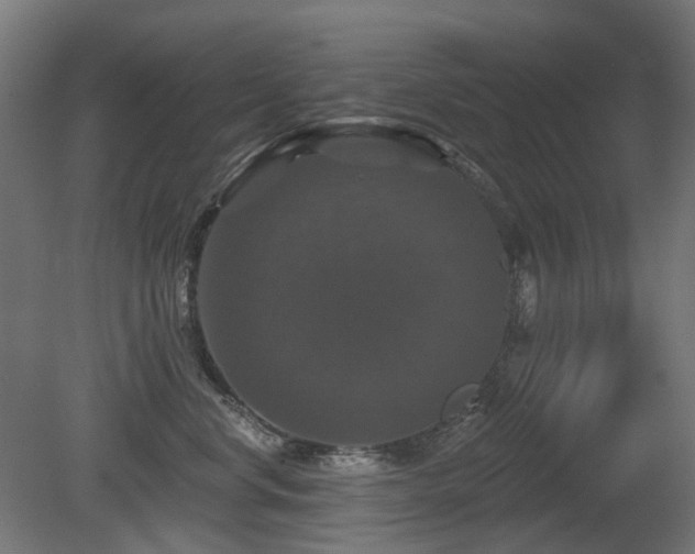 X0000081360668200701111523