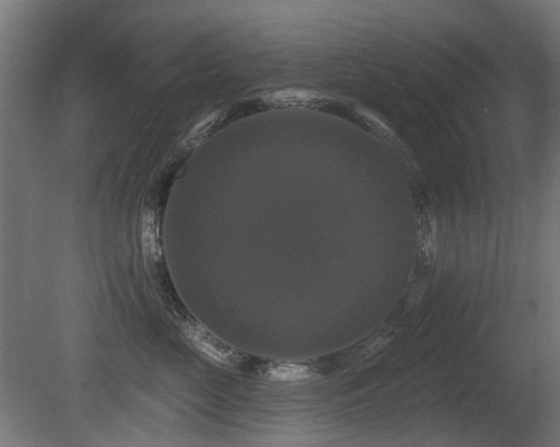 X0000081360669200701111523
