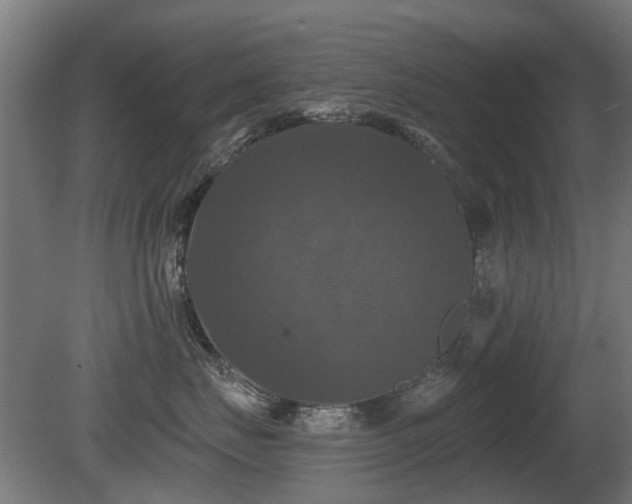 X0000081360671200701111523