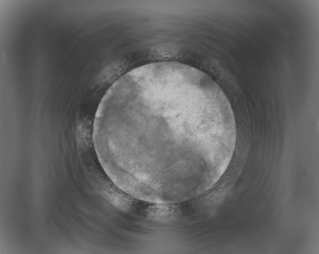 X0000081360672200701111523