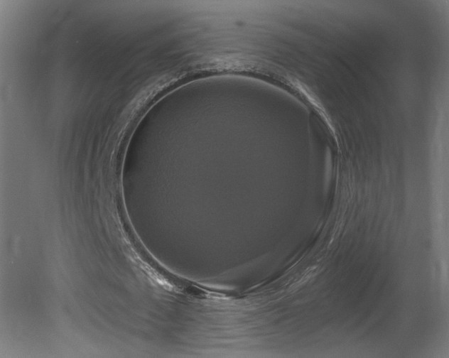 X0000081360673200701111522