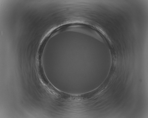 X0000081360676200701111522