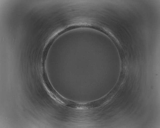 X0000081360677200701111522