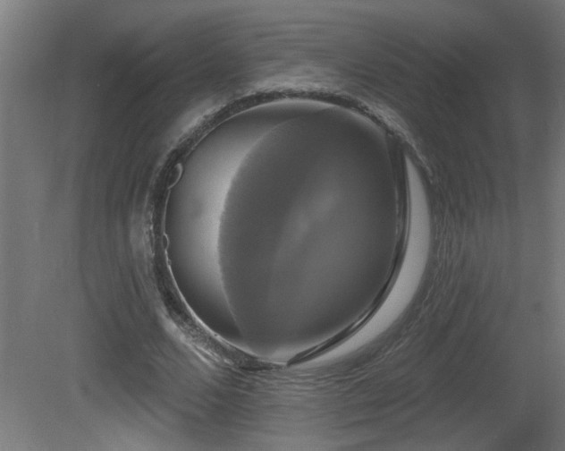 X0000081360680200701111522