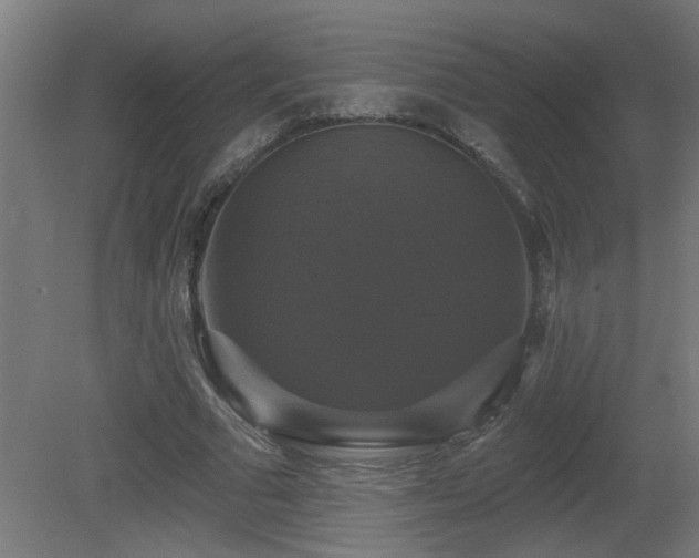 X0000081360681200701111522