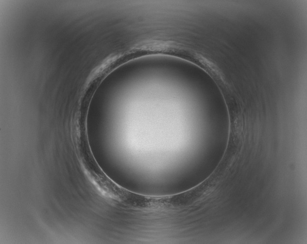 X0000081360682200701111522