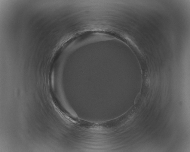 X0000081360685200701111522