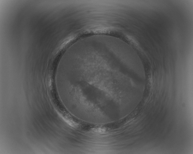X0000081360687200701111522