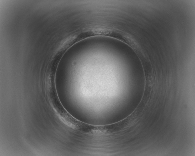 X0000081360690200701111522