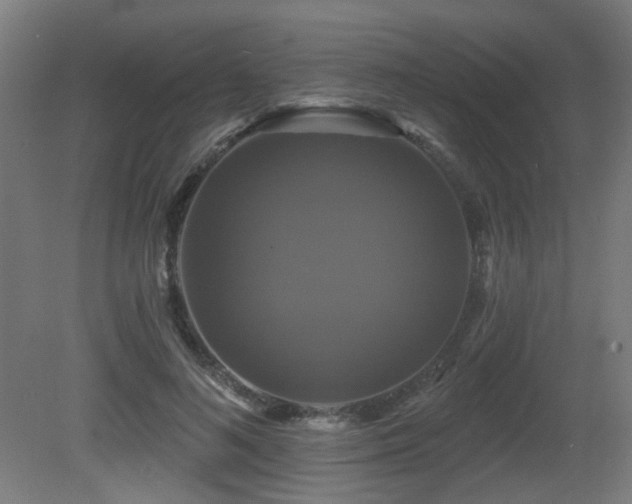 X0000081360692200701111522