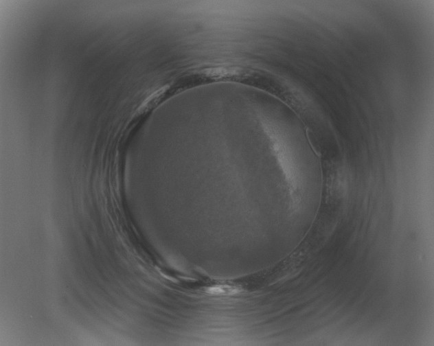 X0000081360700200701111522
