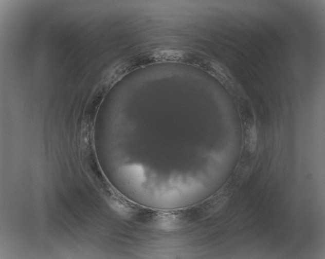 X0000081360701200701111522