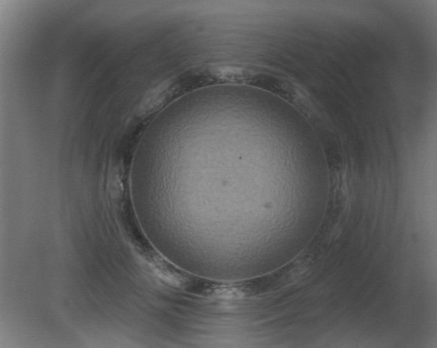 X0000081360702200701111522