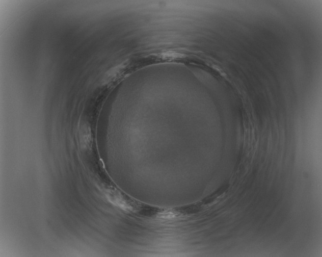 X0000081360704200701111522