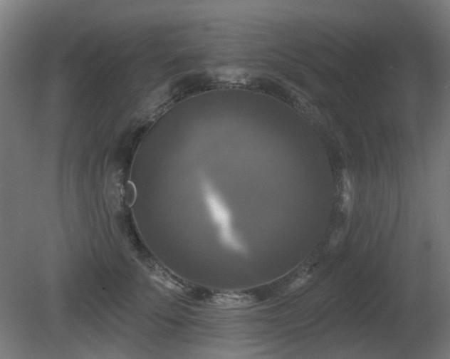 X0000081360707200701111521