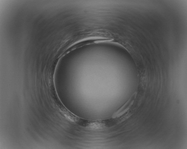 X0000081360708200701111521