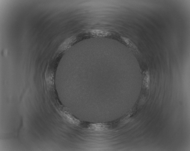 X0000081360713200701111521