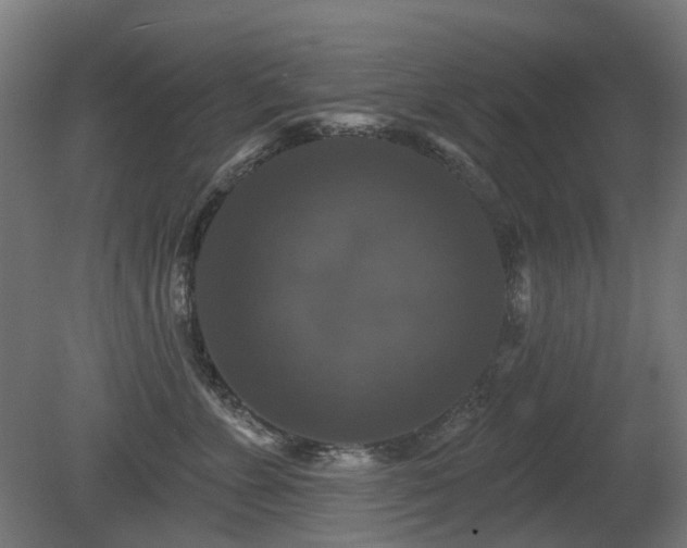 X0000081360715200701111521