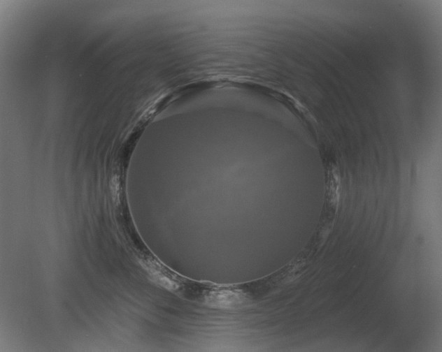 X0000081360716200701111521
