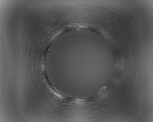 X0000081360719200701111521