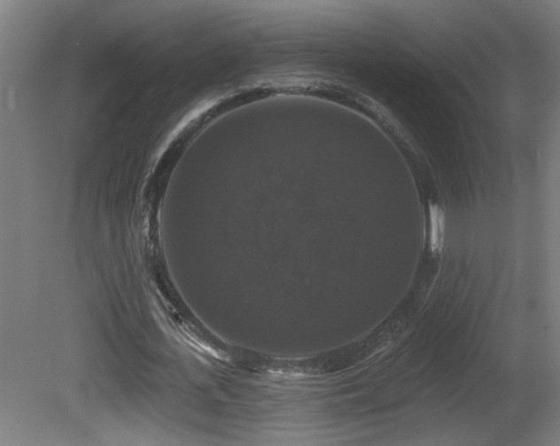 X0000081360723200701111520