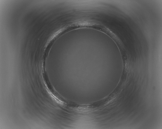 X0000081360725200701111520