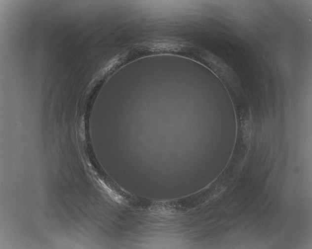 X0000081360729200701111521