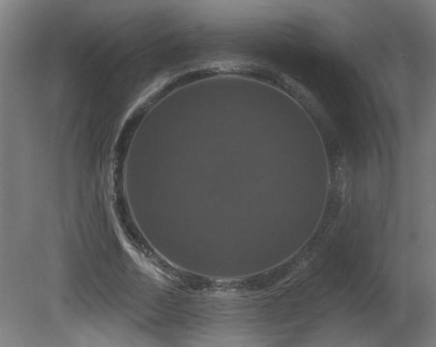 X0000081360730200701111521
