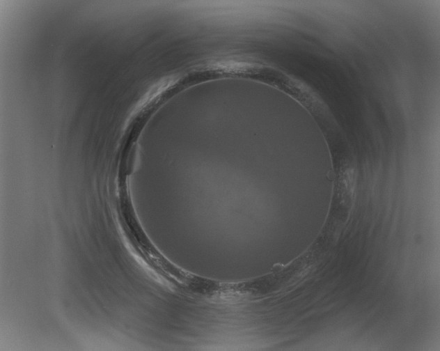 X0000081360734200701111521