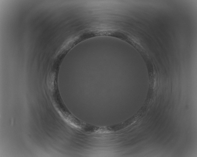 X0000081360742200701111521
