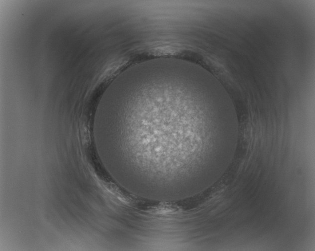 X0000081360743200701111521