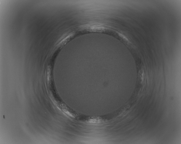X0000081360744200701111521