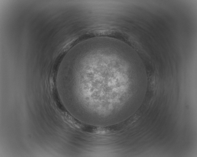 X0000081360746200701111521