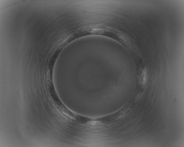 X0000081360748200701111521
