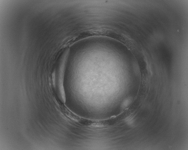 X0000081360749200701111521